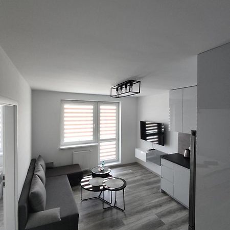 N° 59 Apartman Płock Kültér fotó